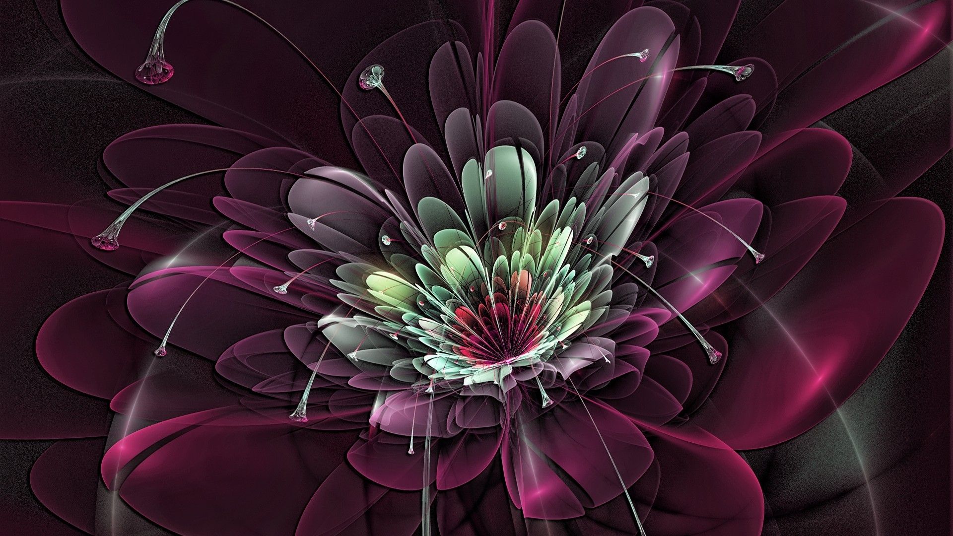Full HD 1080p 1080i Flower Burst Background