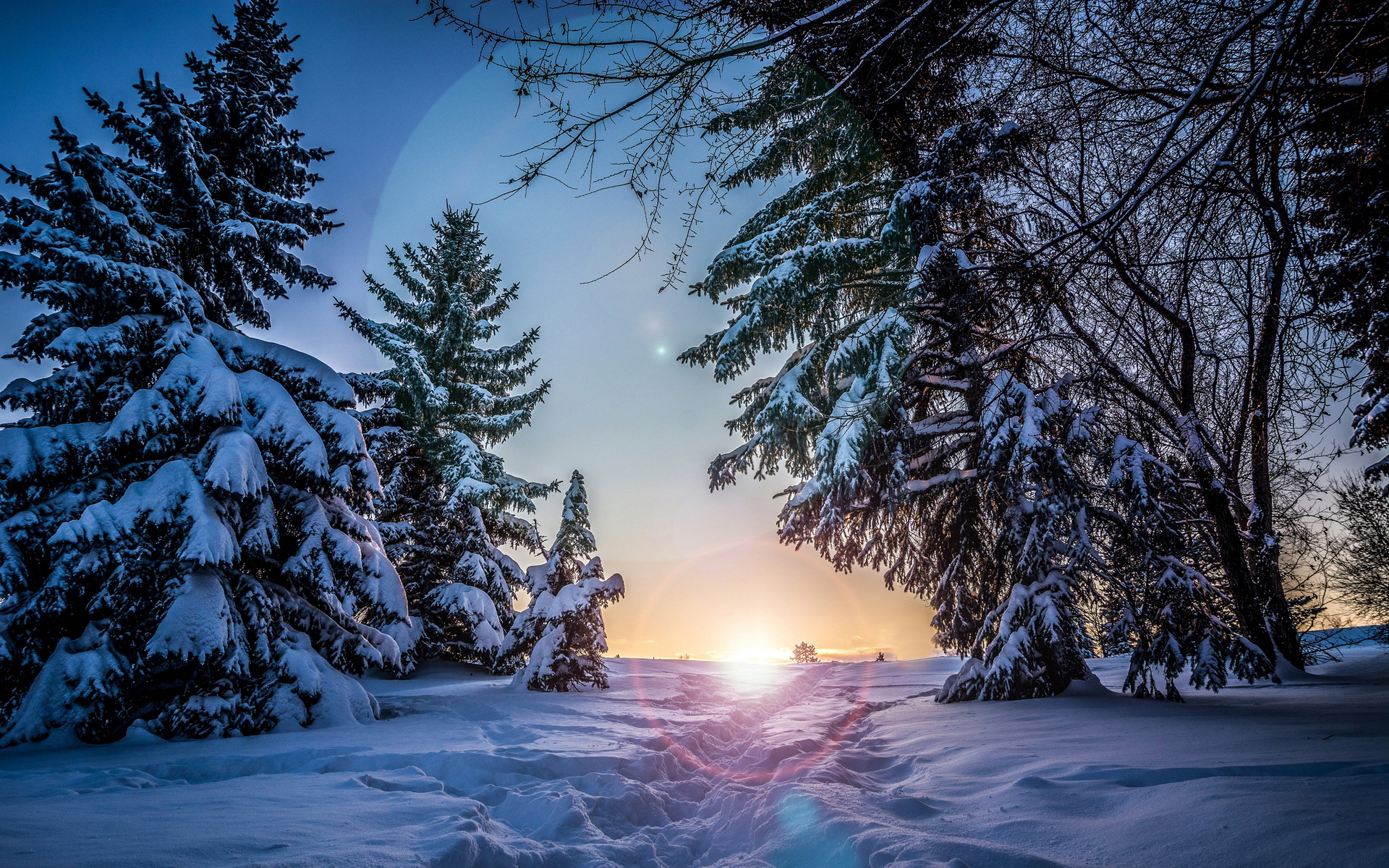 Path To Sunset In Snowy Forest Wallpaper