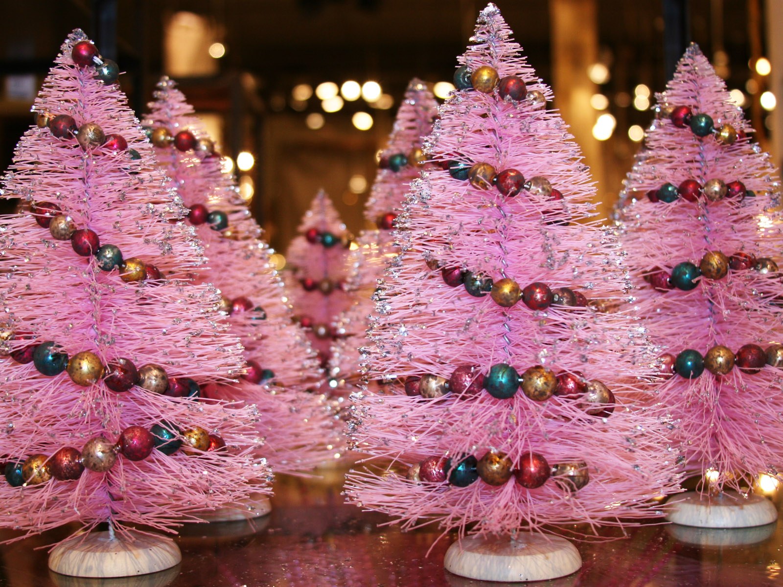High Resolution Christmas Trees Festive Tree