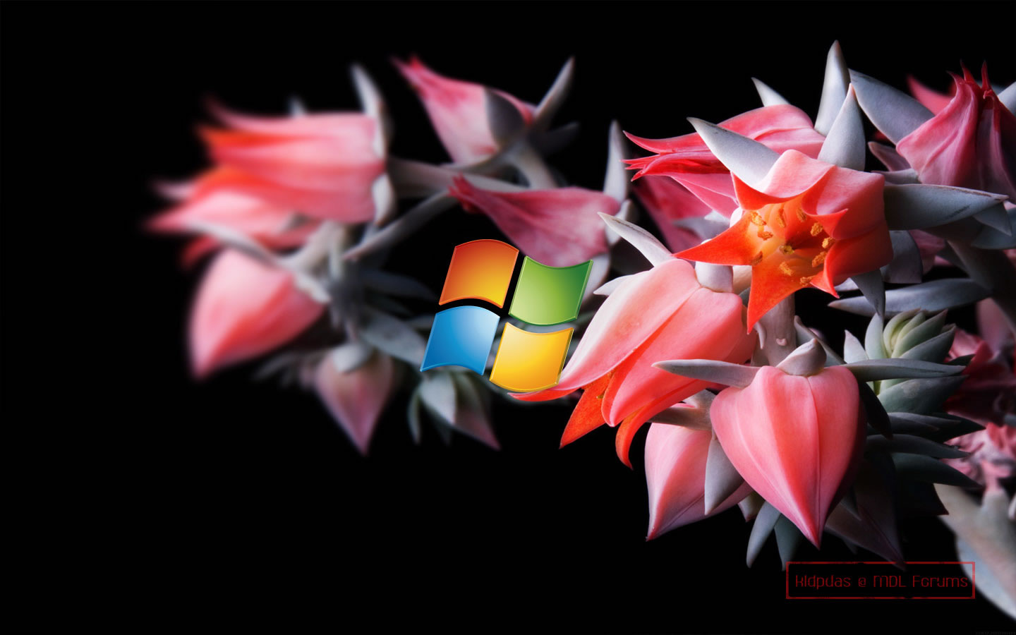 Desktop Wallpaper For Windows Elegance