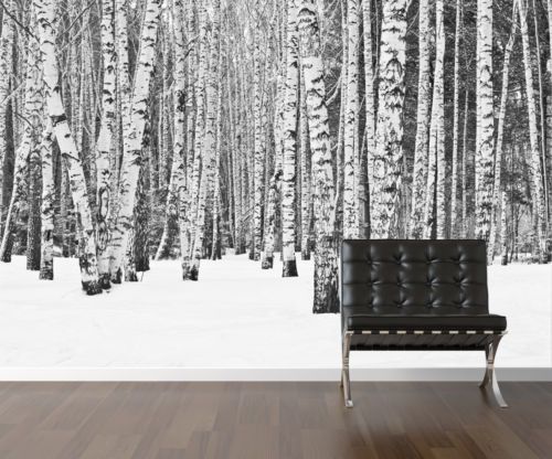 Birch Tree Wallpaper Peel And Stick Removable Mural