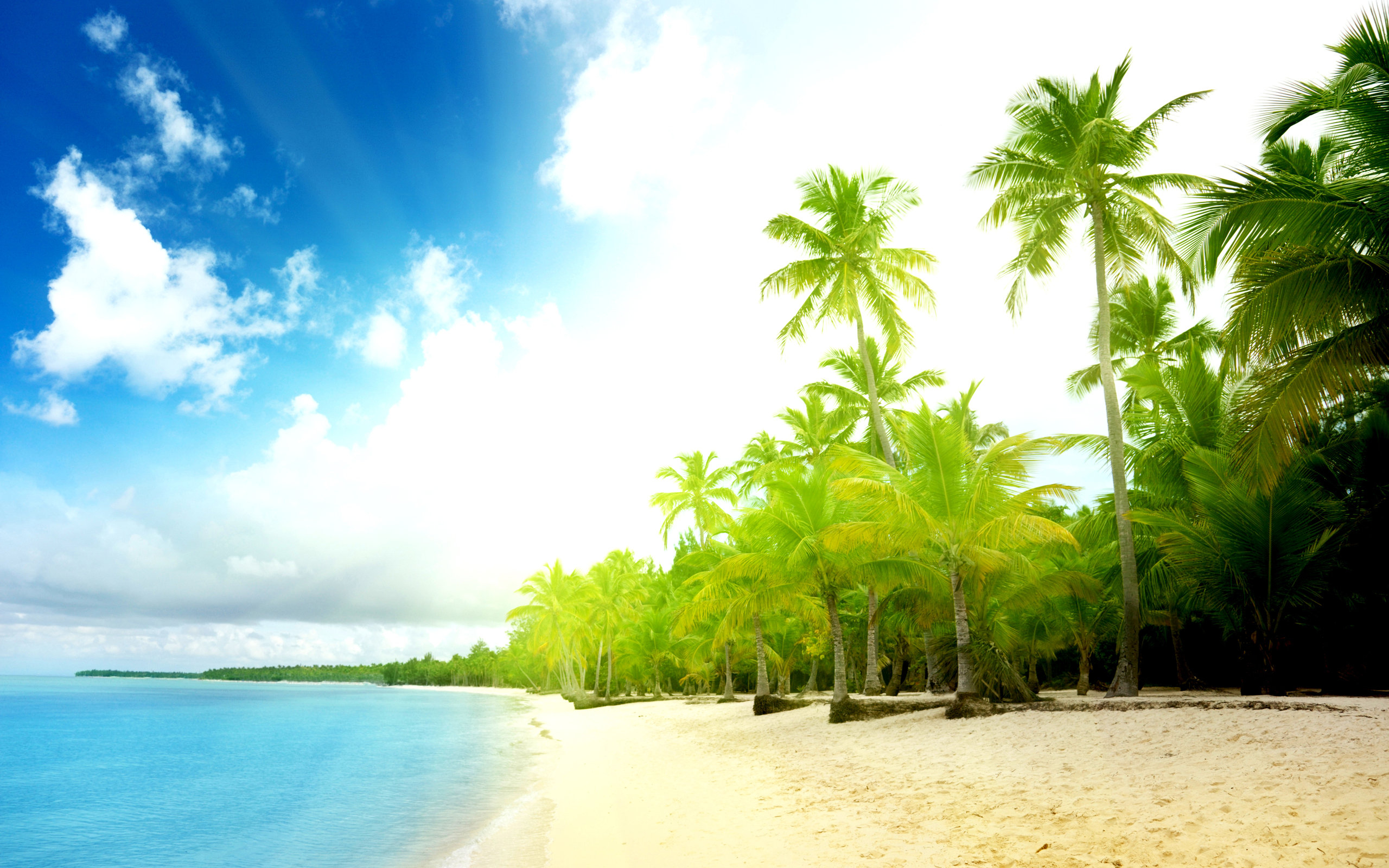 Palm Beach HD Wallpaper Background Image