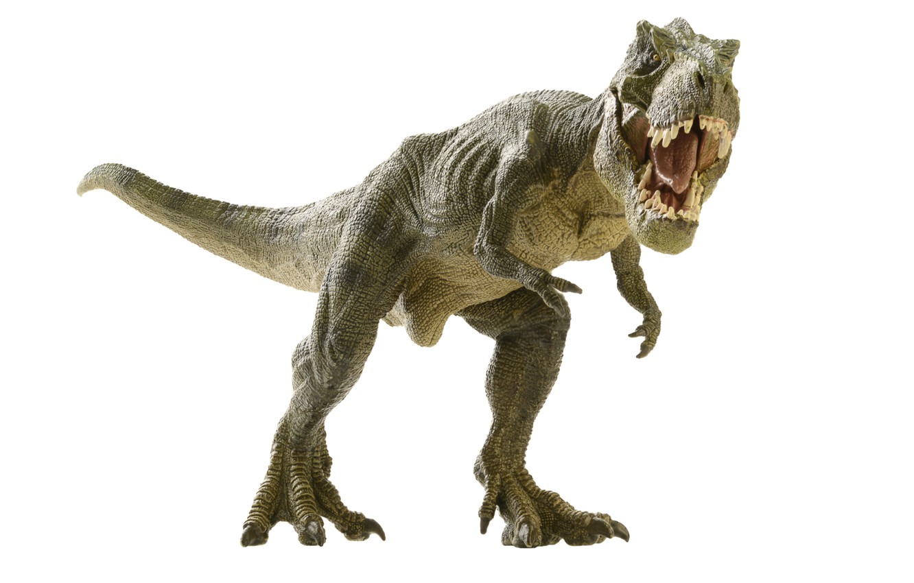 Wallpaper Toy Plastic Dinosaur Image For Desktop Section