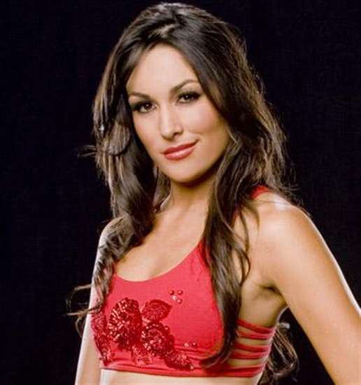 Brie Bella Wwe Diva HD Wallpaper Photosjunction