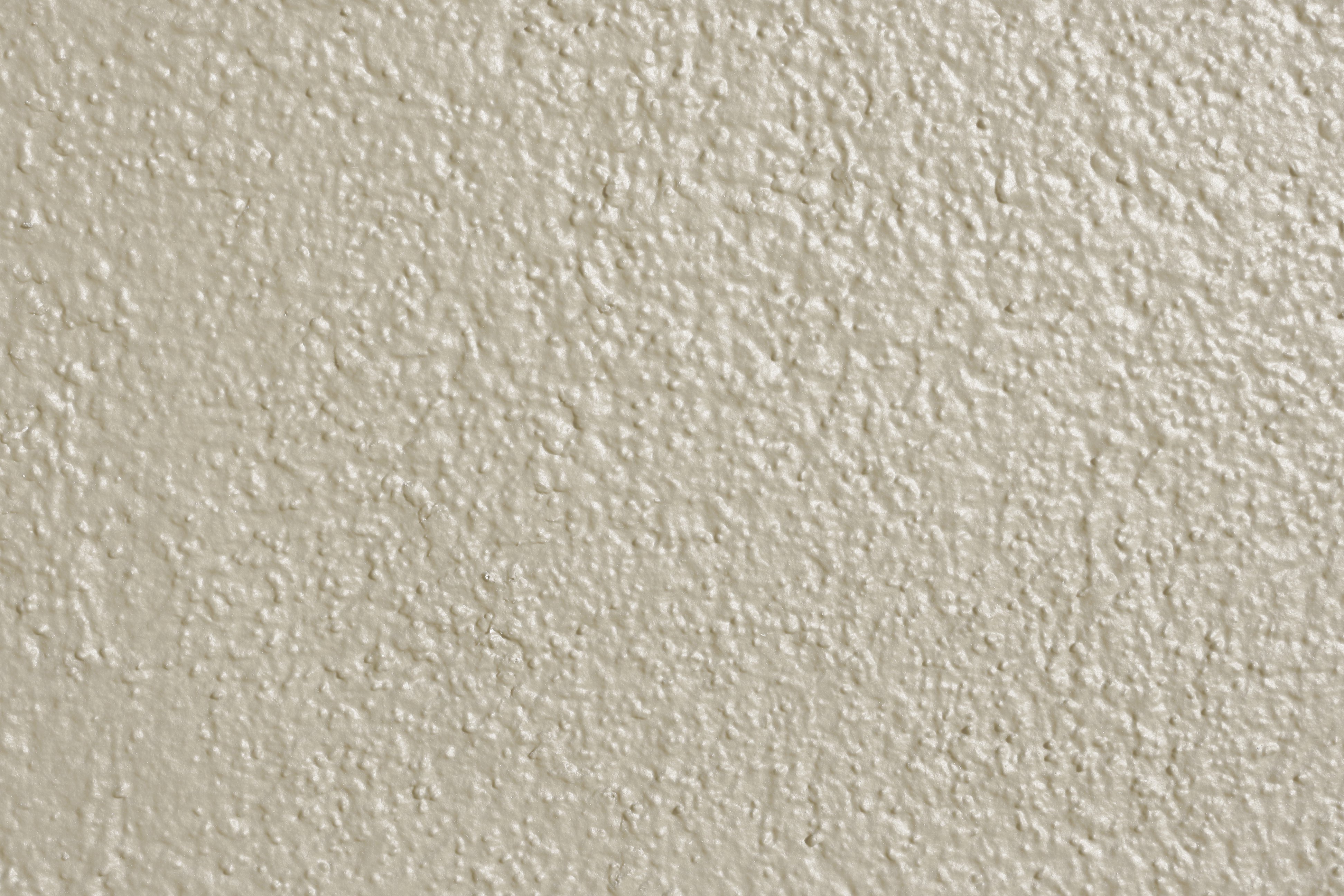Ivory Off White Painted Wall Texture Picture