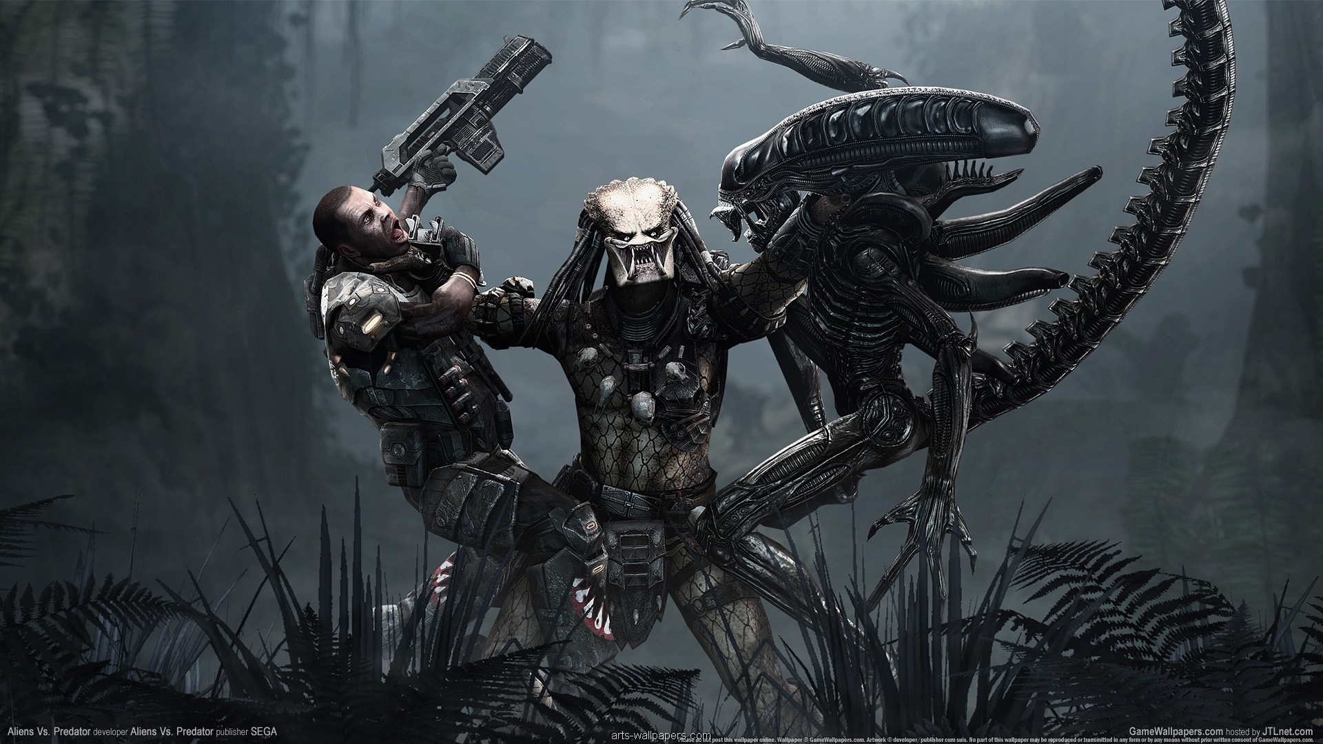 X Game Wallpaper HD Background Desktop Pictures