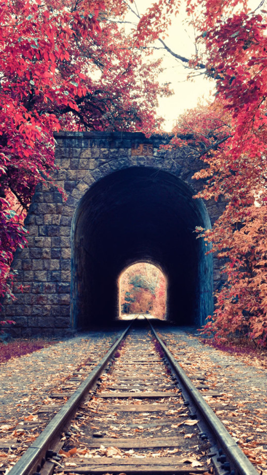 Train Tunnel Autumn iPhone Plus And Wallpaper
