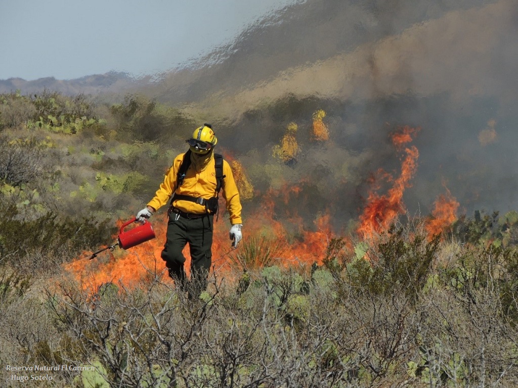Fire As A Regulating Element And Nature Restorer Cemex
