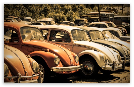 Old Volkswagen Beetle Junkyard HD desktop wallpaper High Definition 510x330