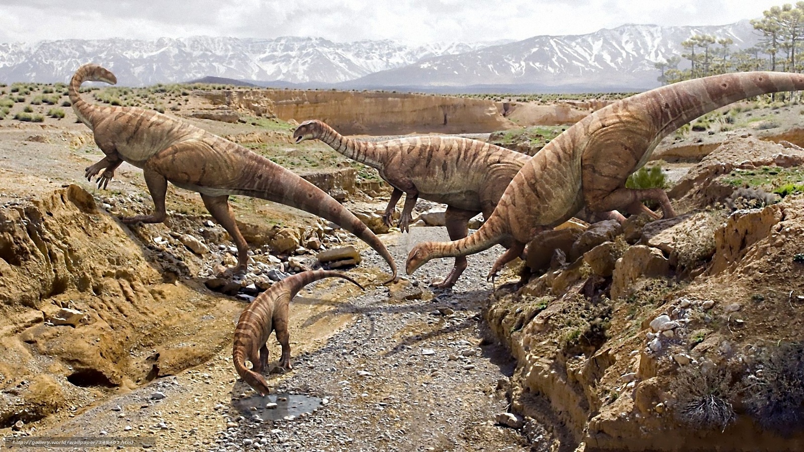 Dinosaurs Desktop Wallpaper In The Resolution