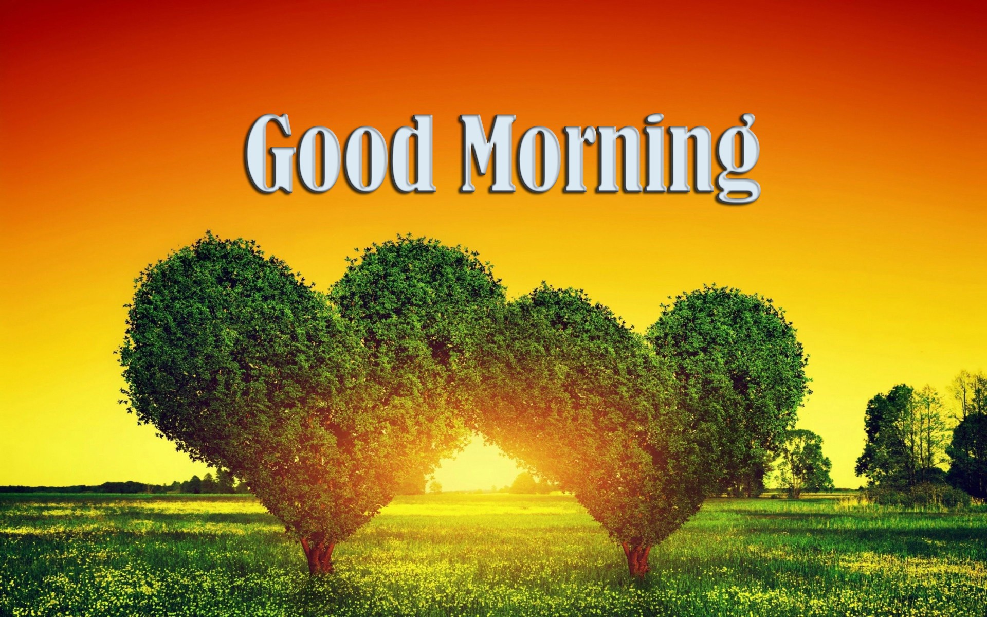 Good Morning Heart Shape Tree HD Wallpaper