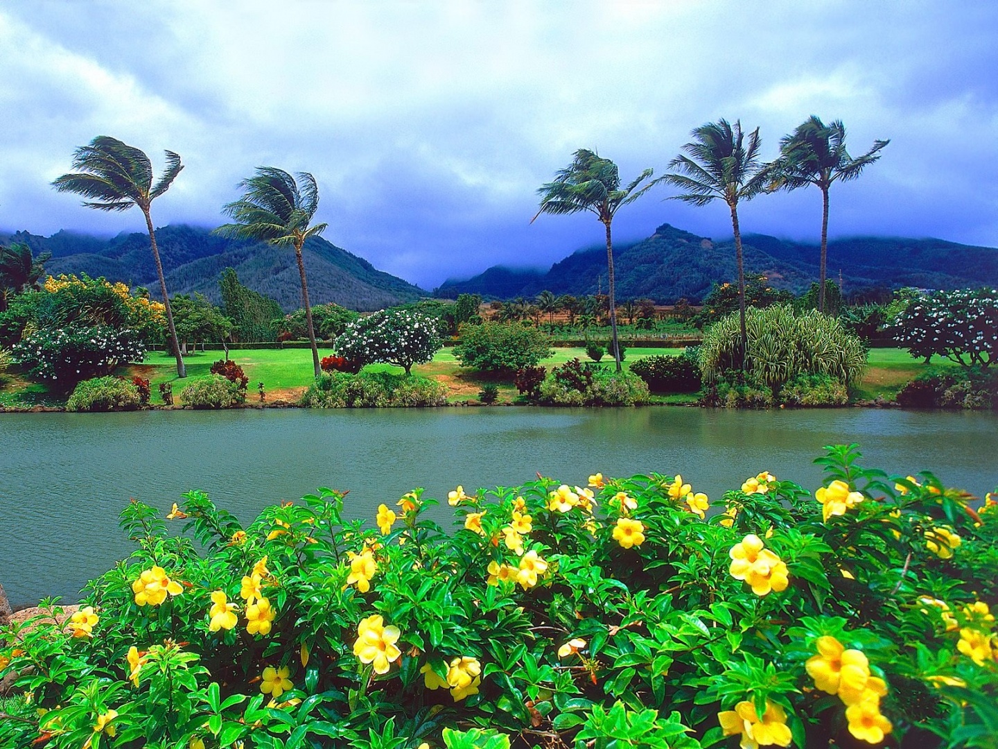 Maui Tropical Plantation Wallpaper