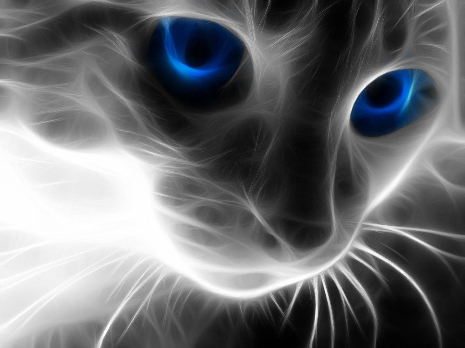 Cat Art 66b5edprcdwx0bkx Wallpaper