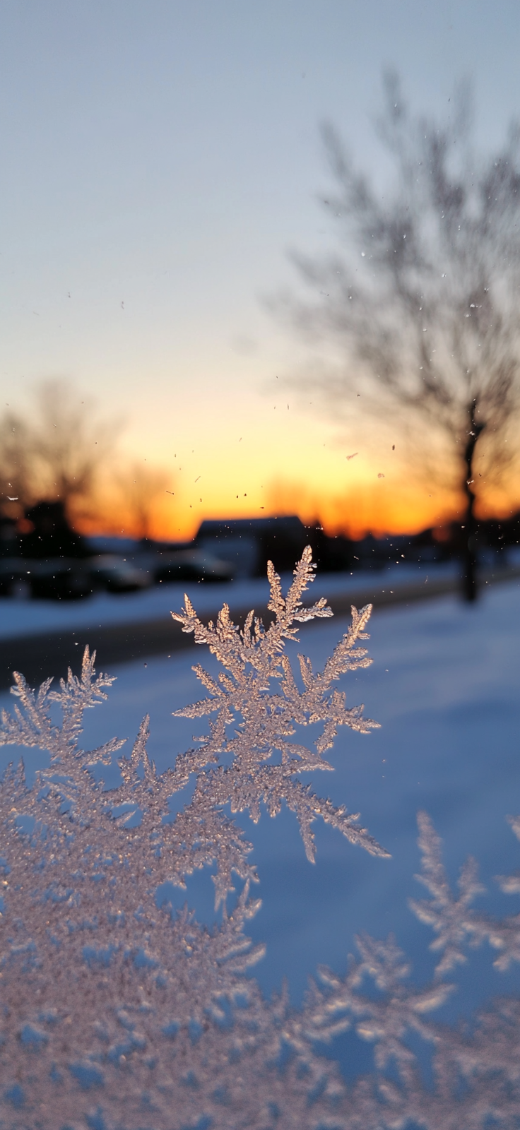 Winter iPhone Wallpaper Everyday Inspo