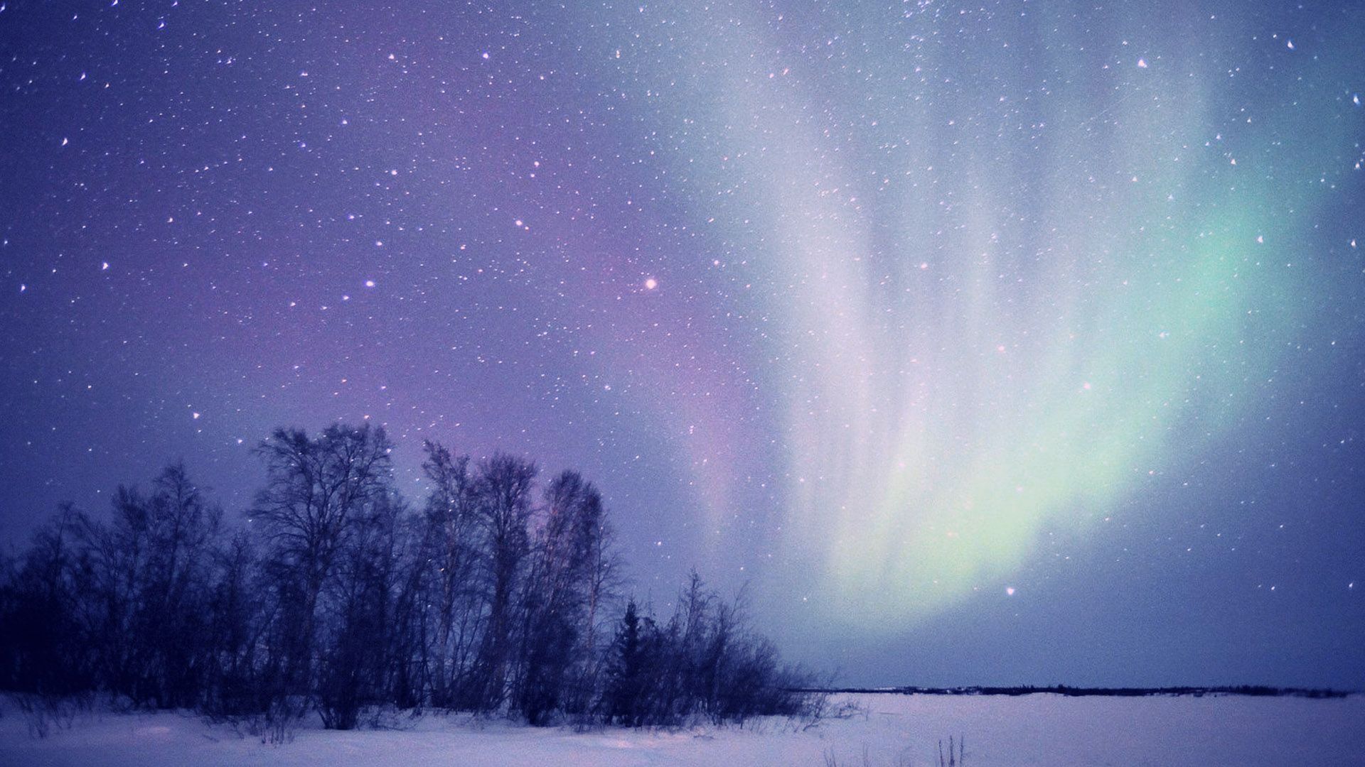 Alysha Phua On Aurora Borealis Northern Lights