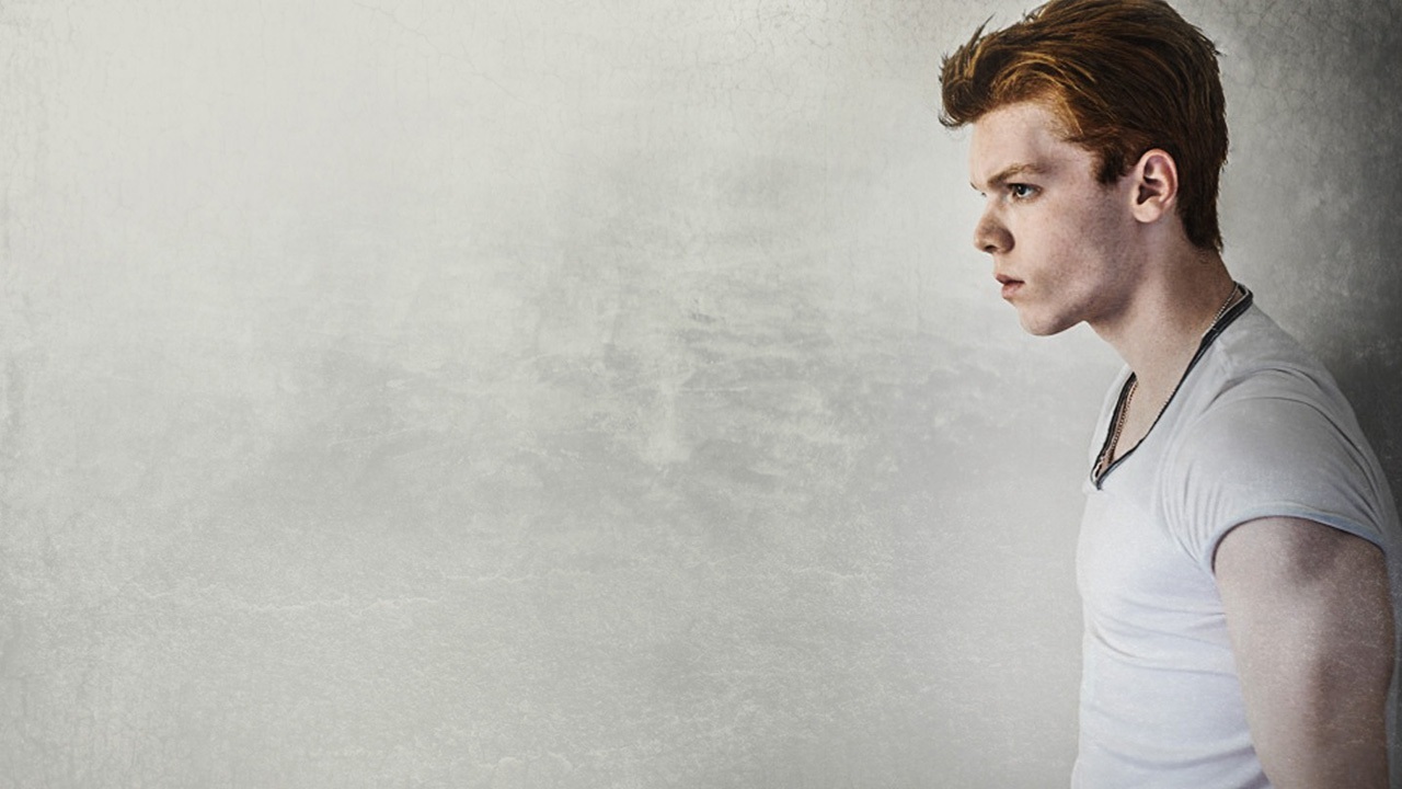 Noel Fisher Wallpaper HD Photo Shared By Virge40 Fans Share Image