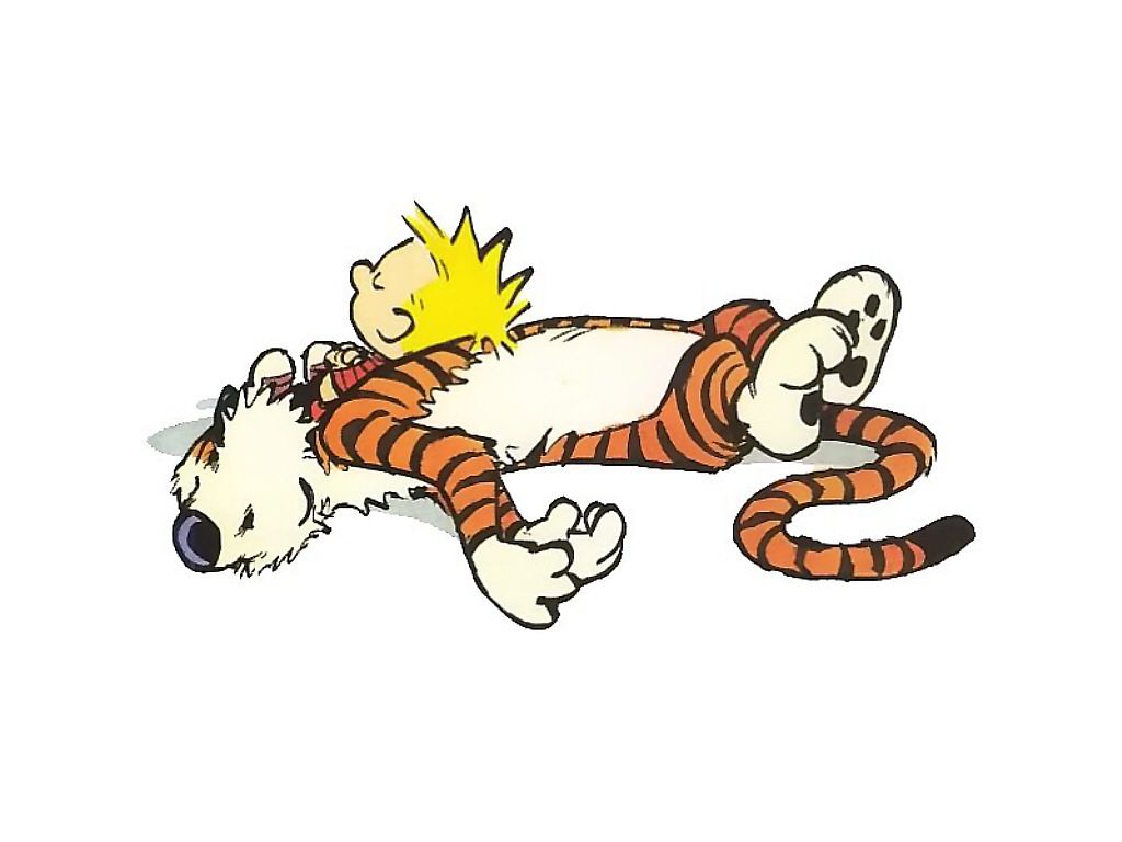 Calvin And Hobbes HD Wallpaper Cartoon Animation