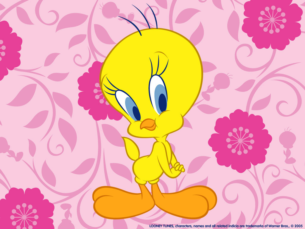 Free download Tweety Bird Wallpaper App for Android 307x512 for your  Desktop Mobile  Tablet  Explore 77 Tweety Bird Wallpaper  Tweety Bird  Wallpapers Free Tweety Bird Wallpaper Tweety Bird Backgrounds