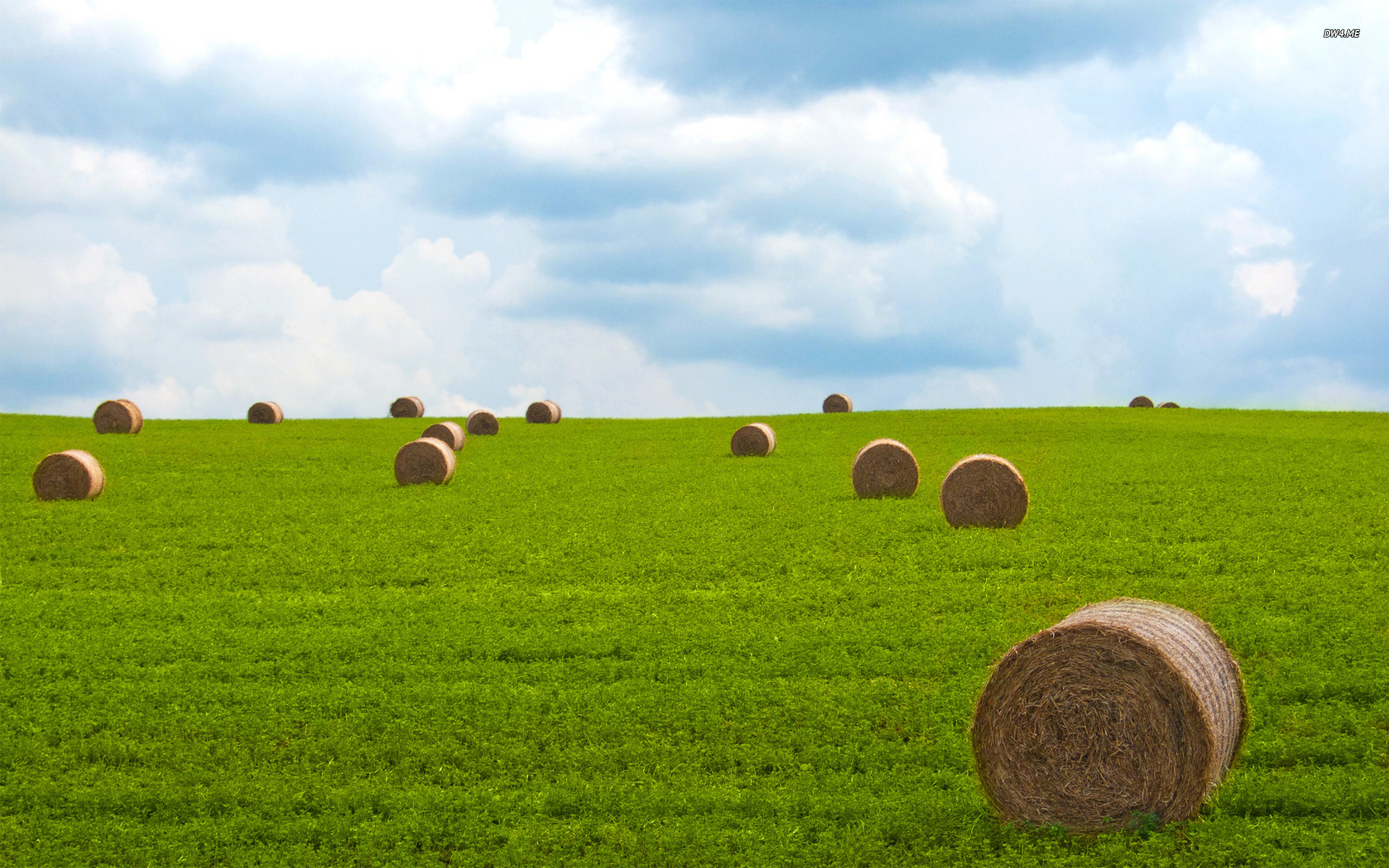 Hay Bales On The Field Wallpaper Nature