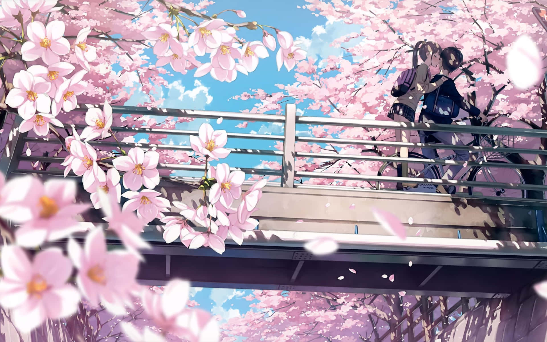 Enjoy The Beauty Of A Cherry Blossom Wallpaper