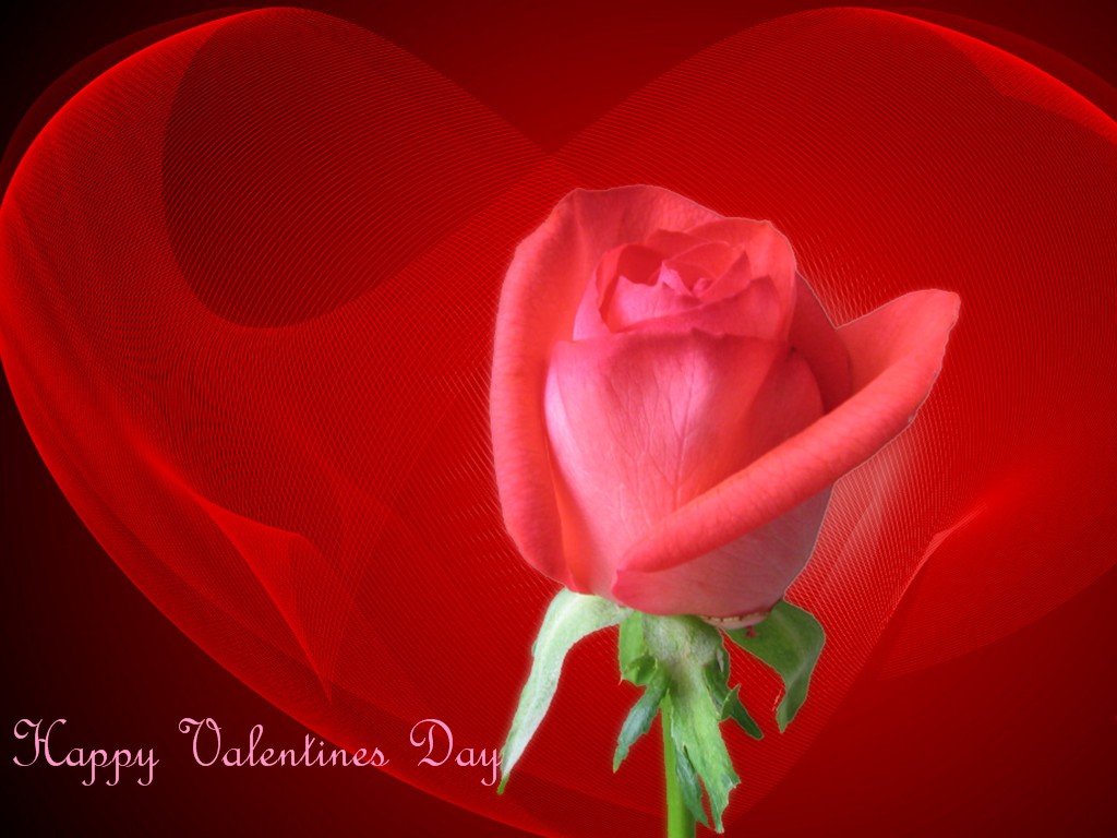 Happy Valentines Day HD Wallpaper Romantic