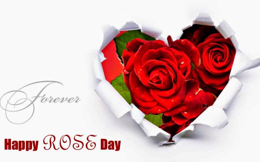 Happy Rose Day Quotes Sms Image Wallpaper Cool Trickz