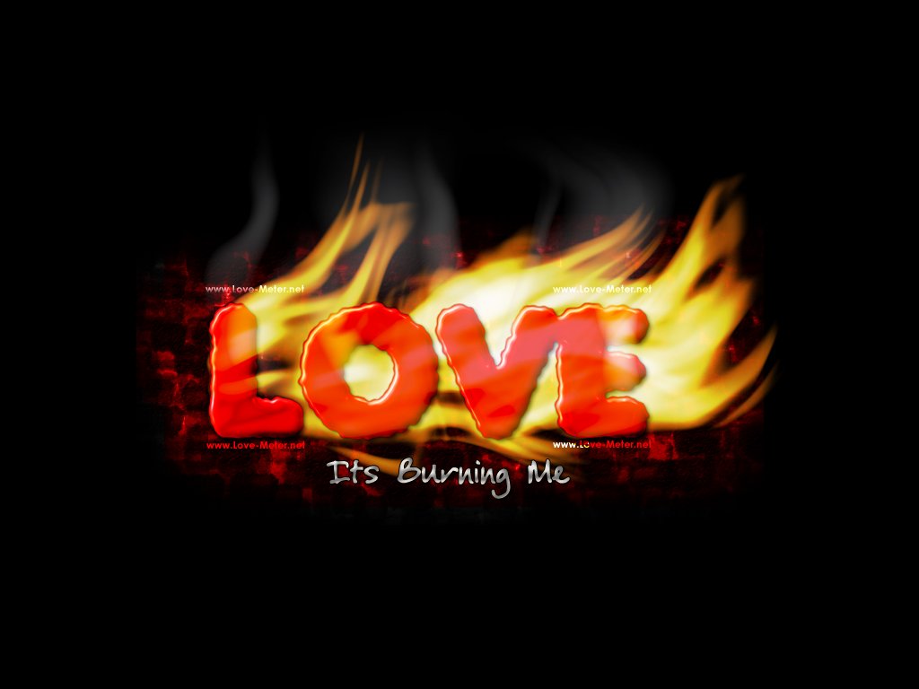 Free download Love on Fire The word Love on Fire Love Wallpapers and Love  [1024x768] for your Desktop, Mobile & Tablet | Explore 43+ Wallpaper with  Words on It | Wallpapers with
