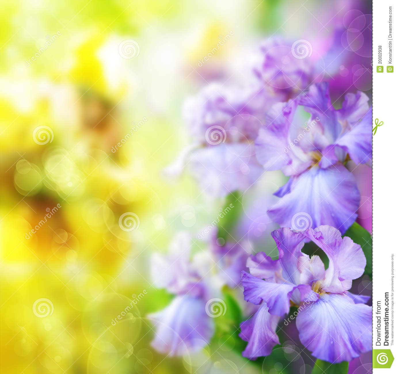 Abstract Spring Wallpaper High Definition
