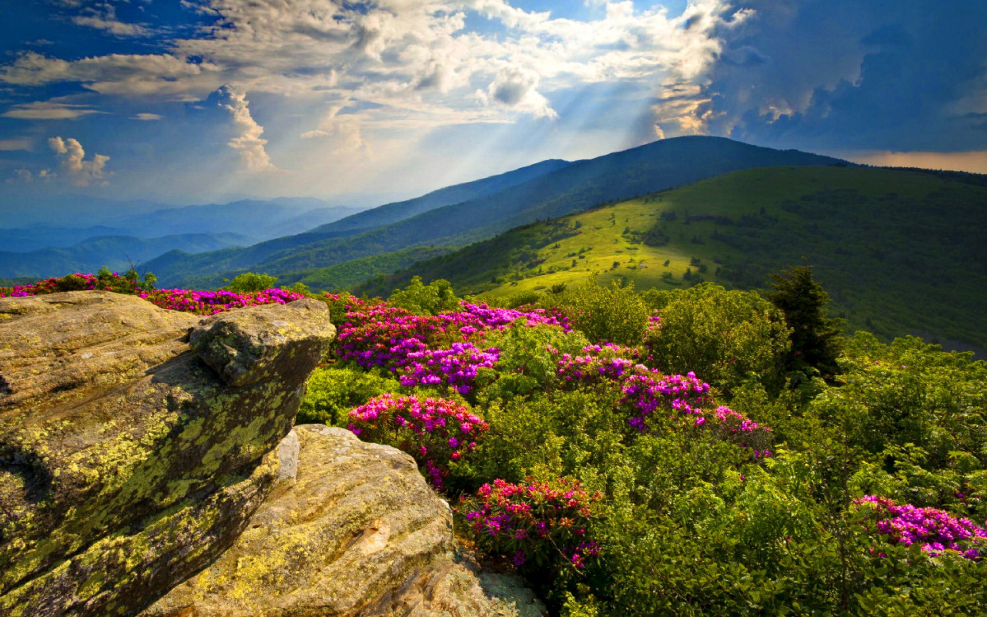 HD Wallpaper Blue Ridge Mountains Nature