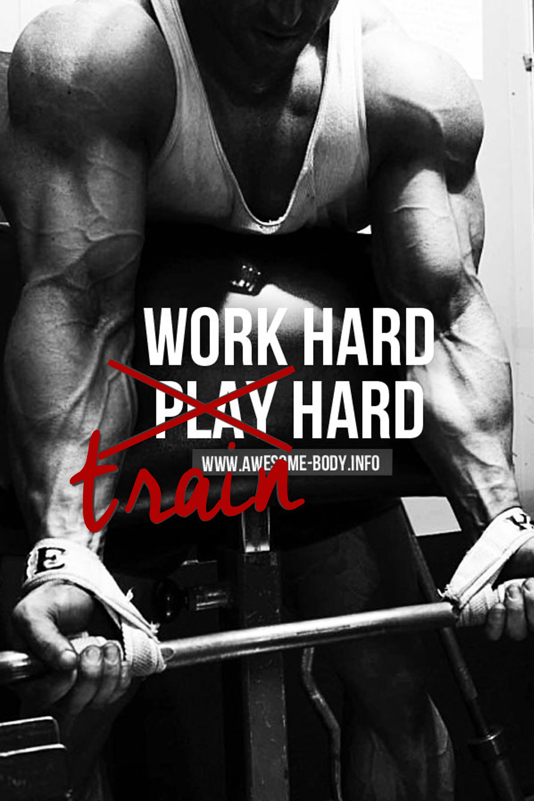 Bodybuilding Motivational Posters Gym Posters   Awesome Body 1728x2592