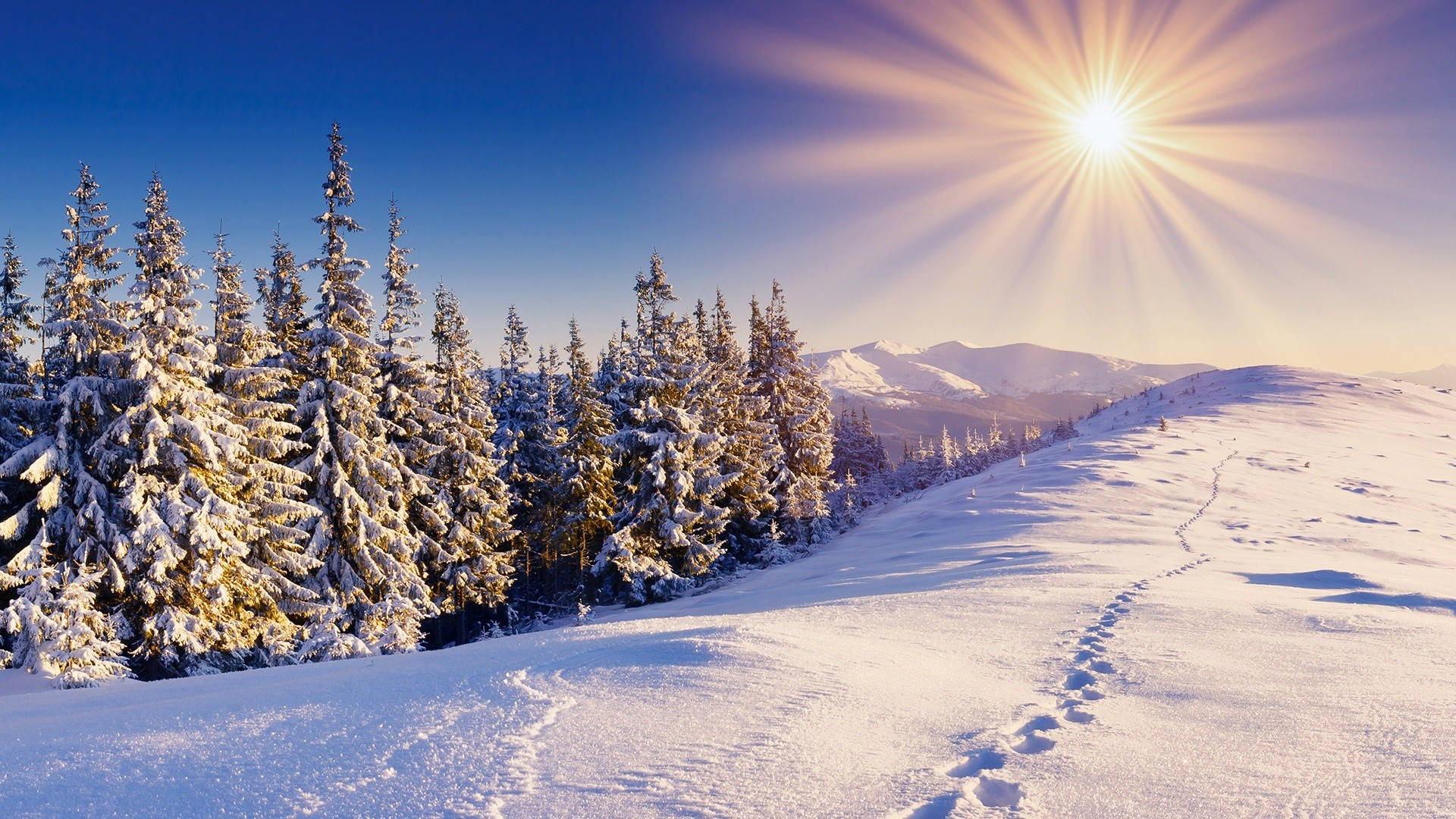 HD Winter Desktop Wallpaper