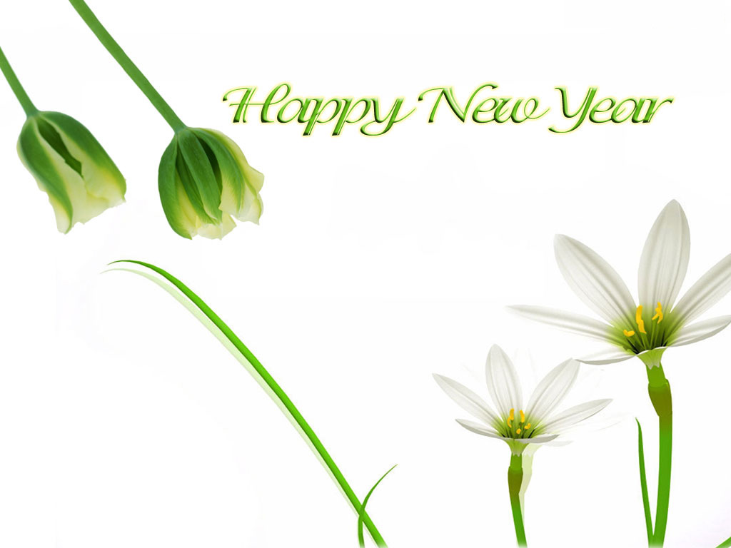 Happy New Year Flowers Wallpaper Christian And