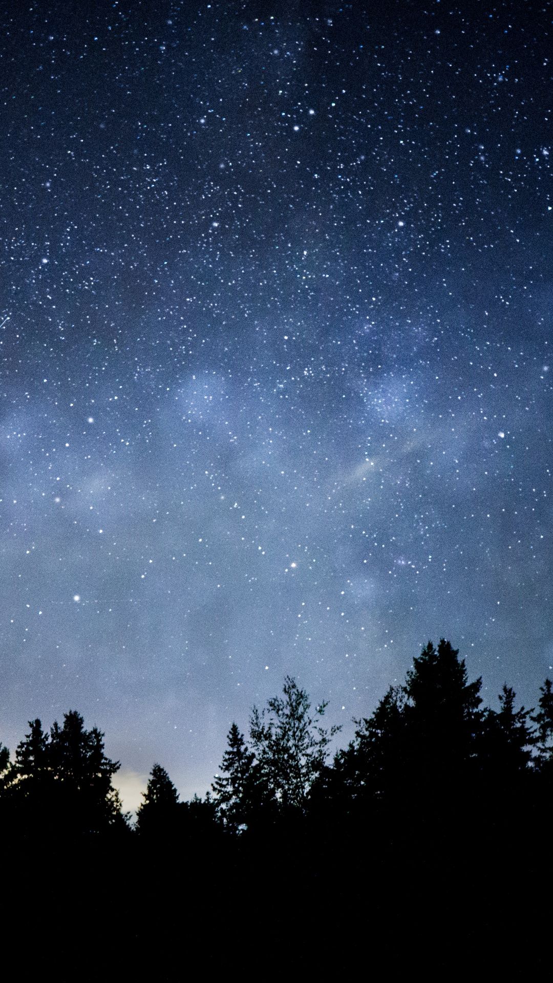 Tree Starry Night Blue Dark Silhouette Wallpaper Sky