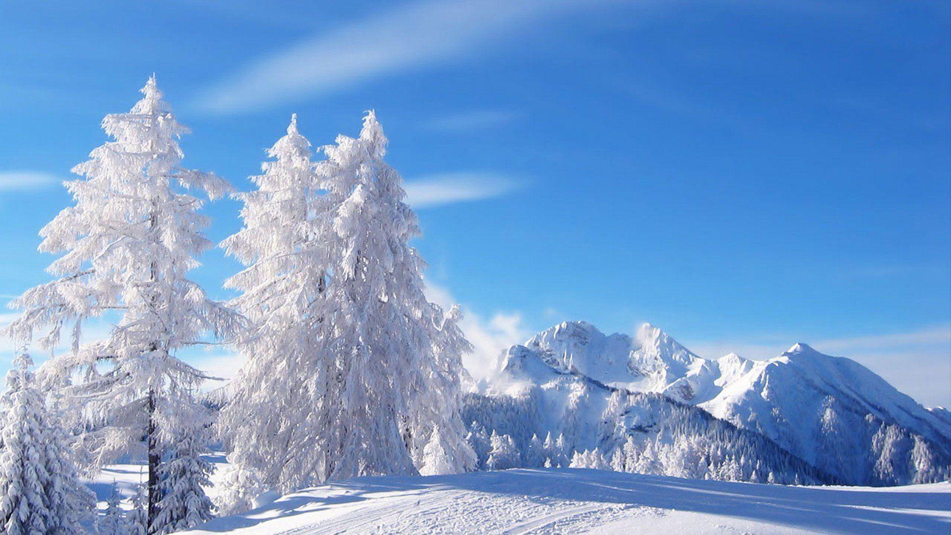Gif Wallpaper HD Winter Desktop