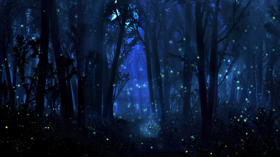 Blue hair in the mystical forest at night - wide 3
