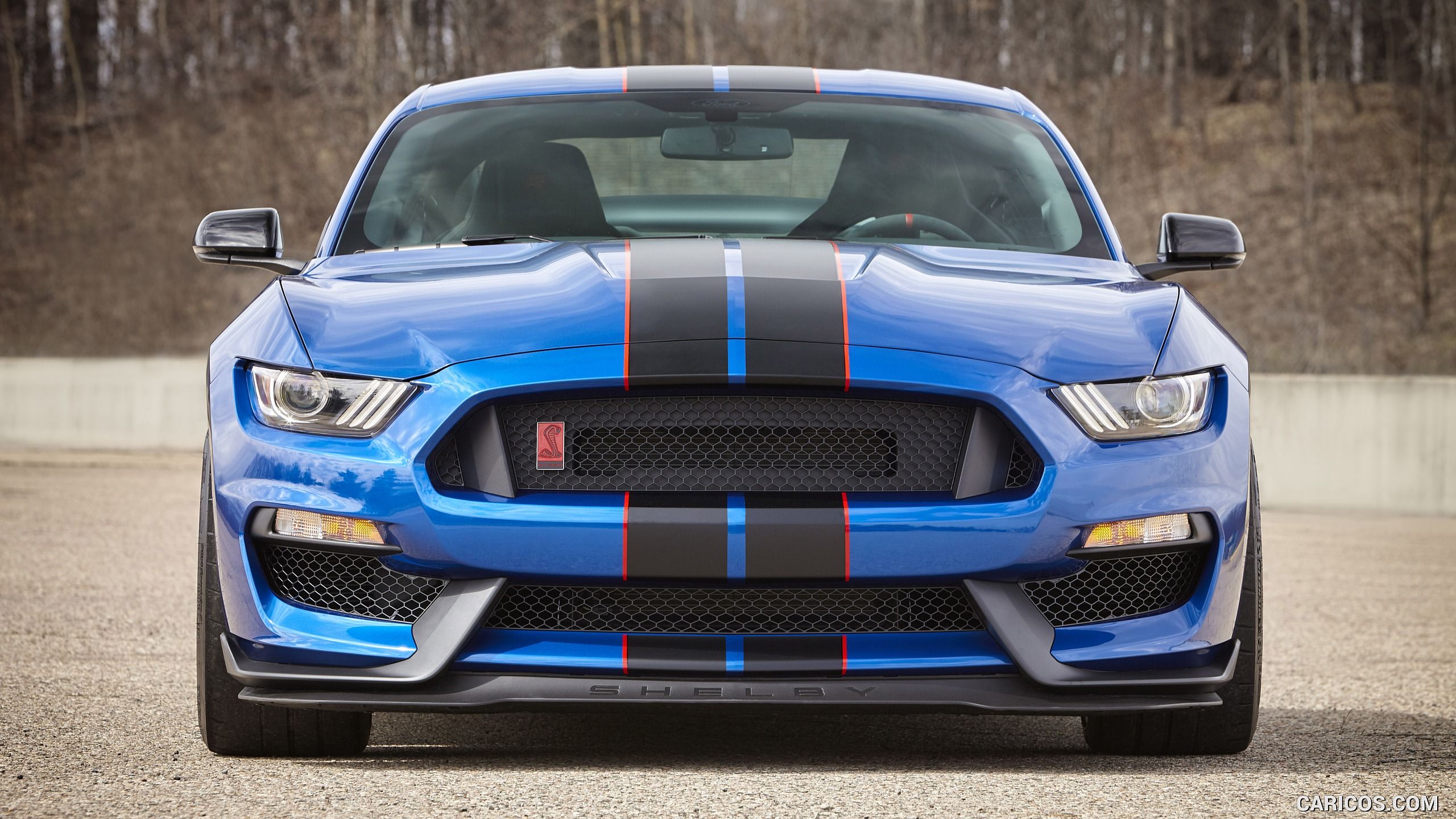Ford Mustang Shelby Gt350 And Gt350r Wallpaper Things To
