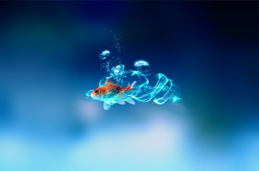 Collection Of Fish Wallpaper For Your Puter Screen Pelfind