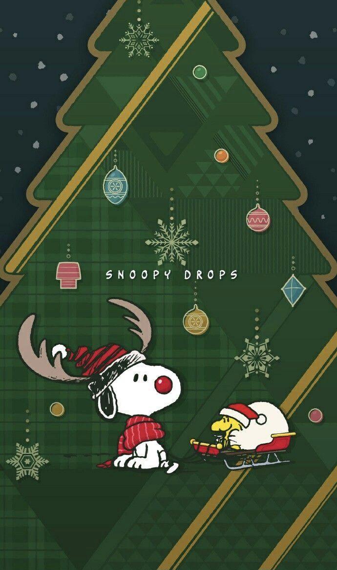 Christmas Is Awesome Snoopy Navide O Navidad Fondo De