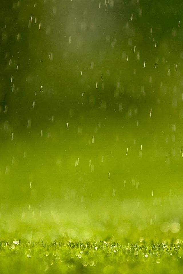 Rain Nature iPhone4 Wallpaper HD