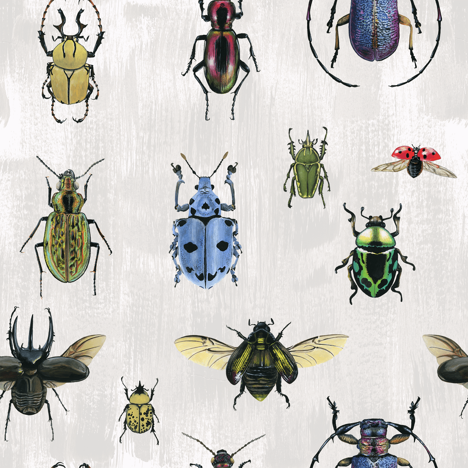 Insect Wallpaper Muse Wall Studio