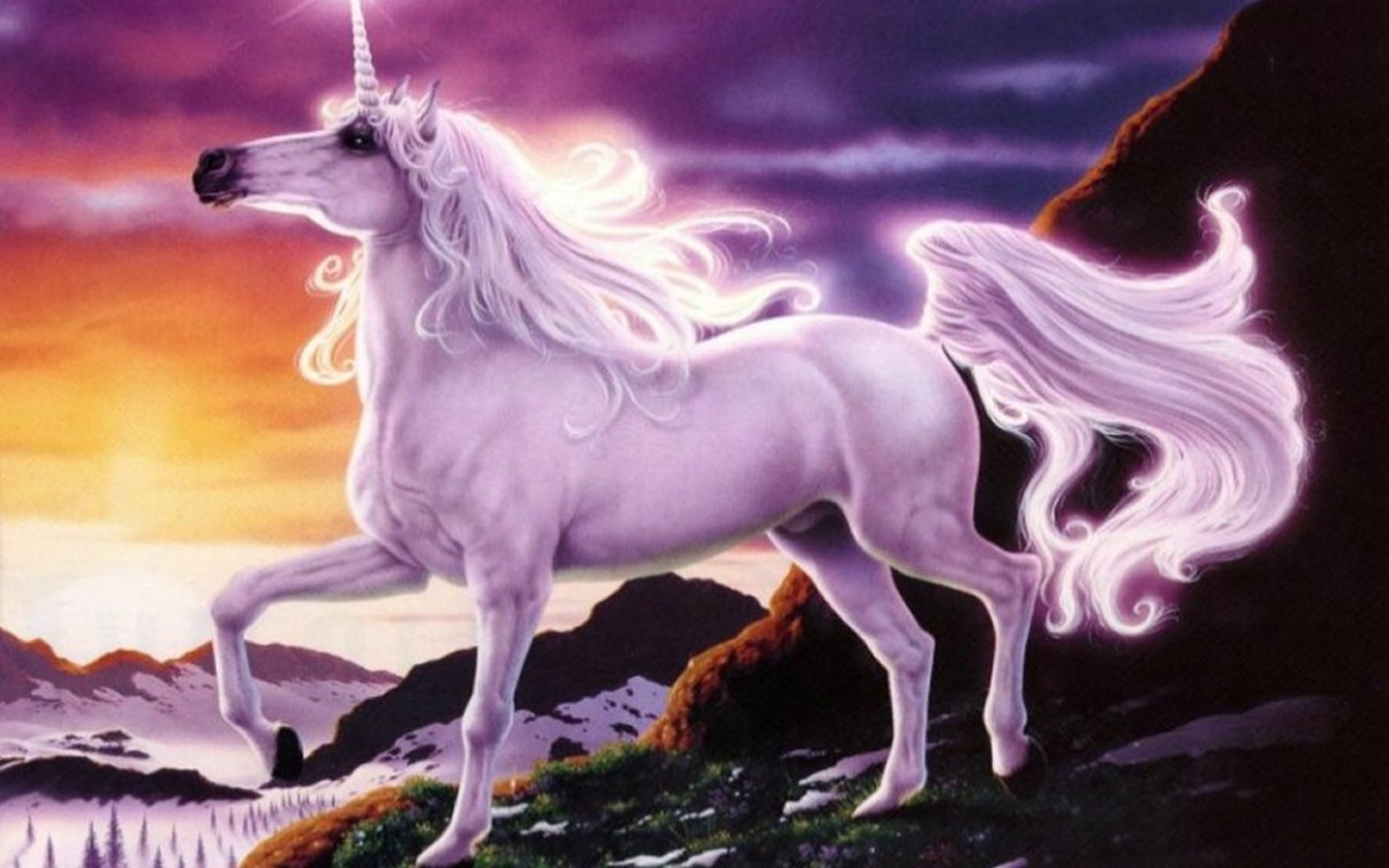 Magical Unicorns Background Hivewallpaper