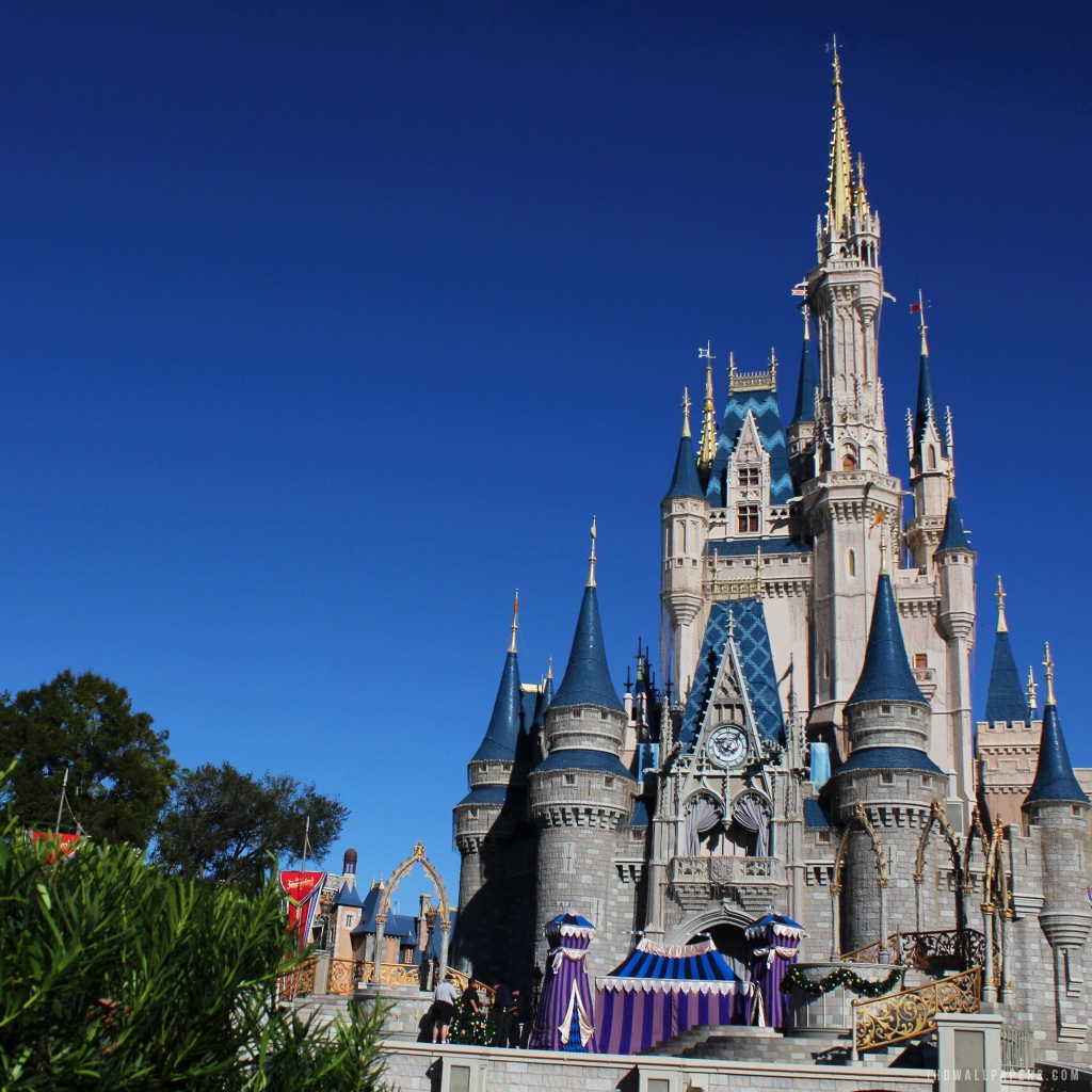 Disney Castle HD Wallpaper IHD