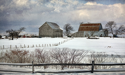 Winter Barns Photo Sharing