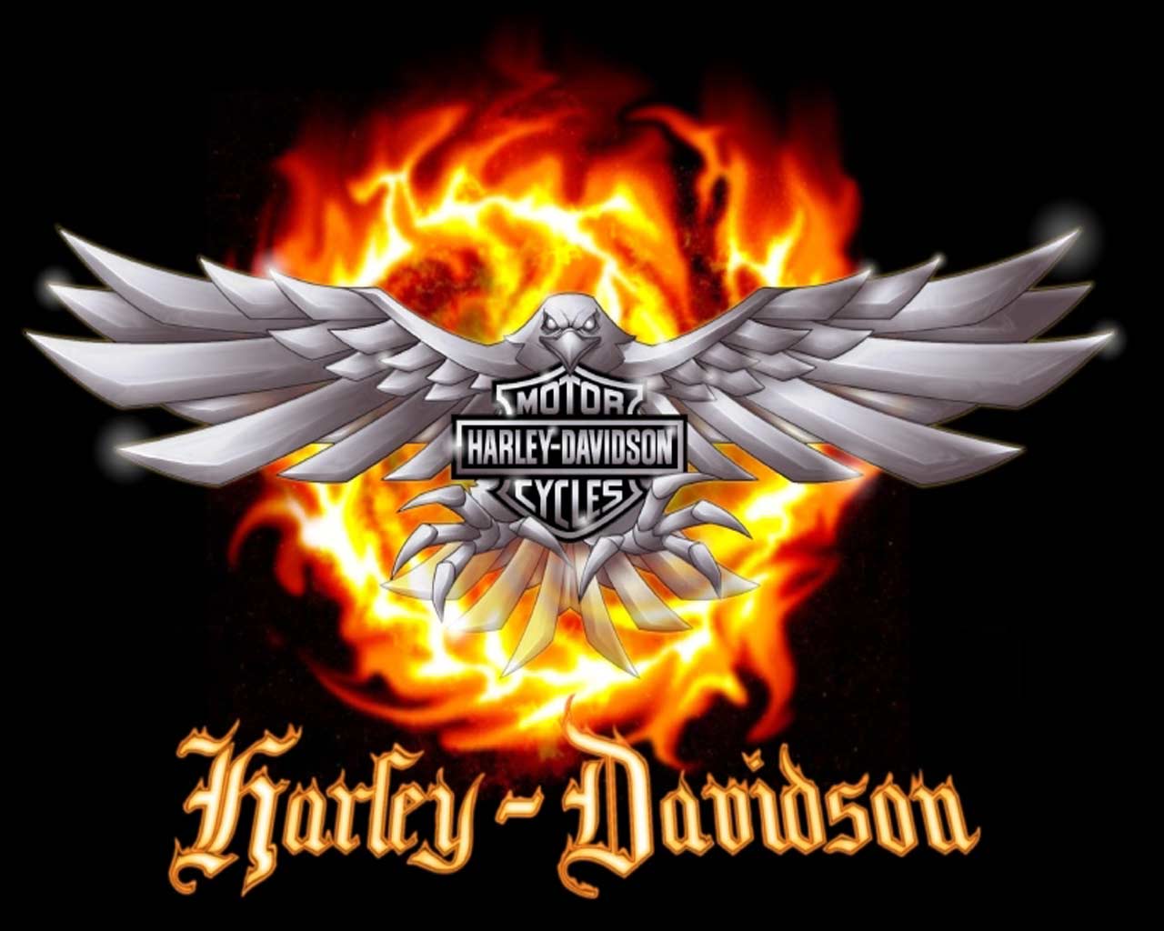 Harley Davidson Logo Wallpaper Hd In Logos Imageci