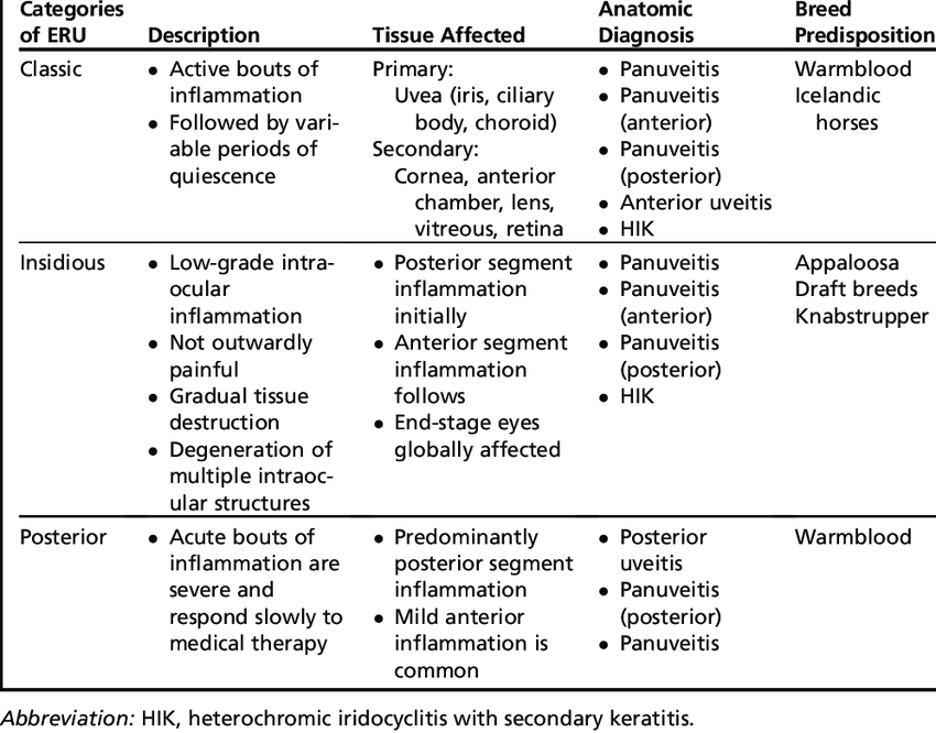 Classification Of Equine Recurrent Uveitis Table