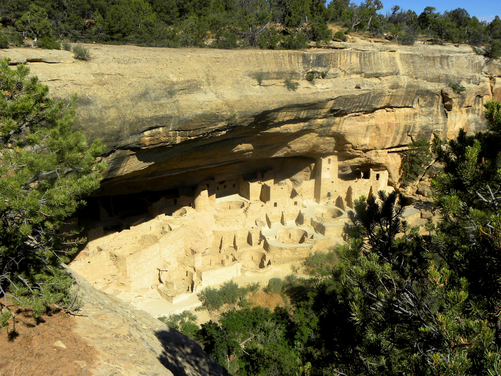 Wallpaper The Cliff Palace By Ancient Anasazi People Ruins Cities