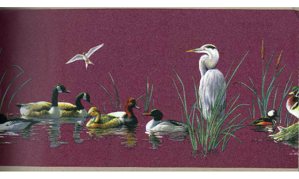Home Goose Duck Teal Swan Wallpaper Border