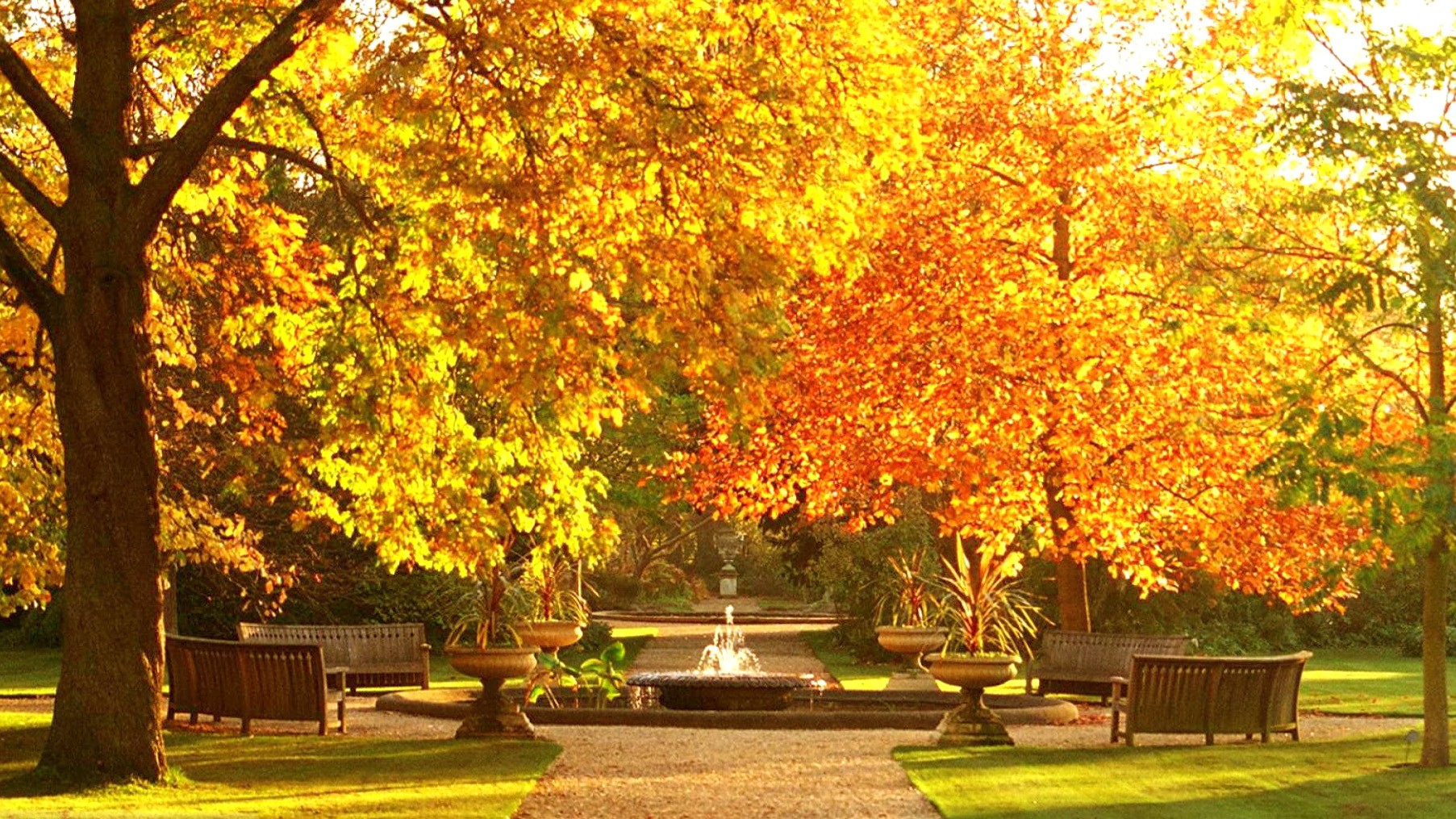 Beautiful Botanic Garden Autumn Wallpaper Desktop