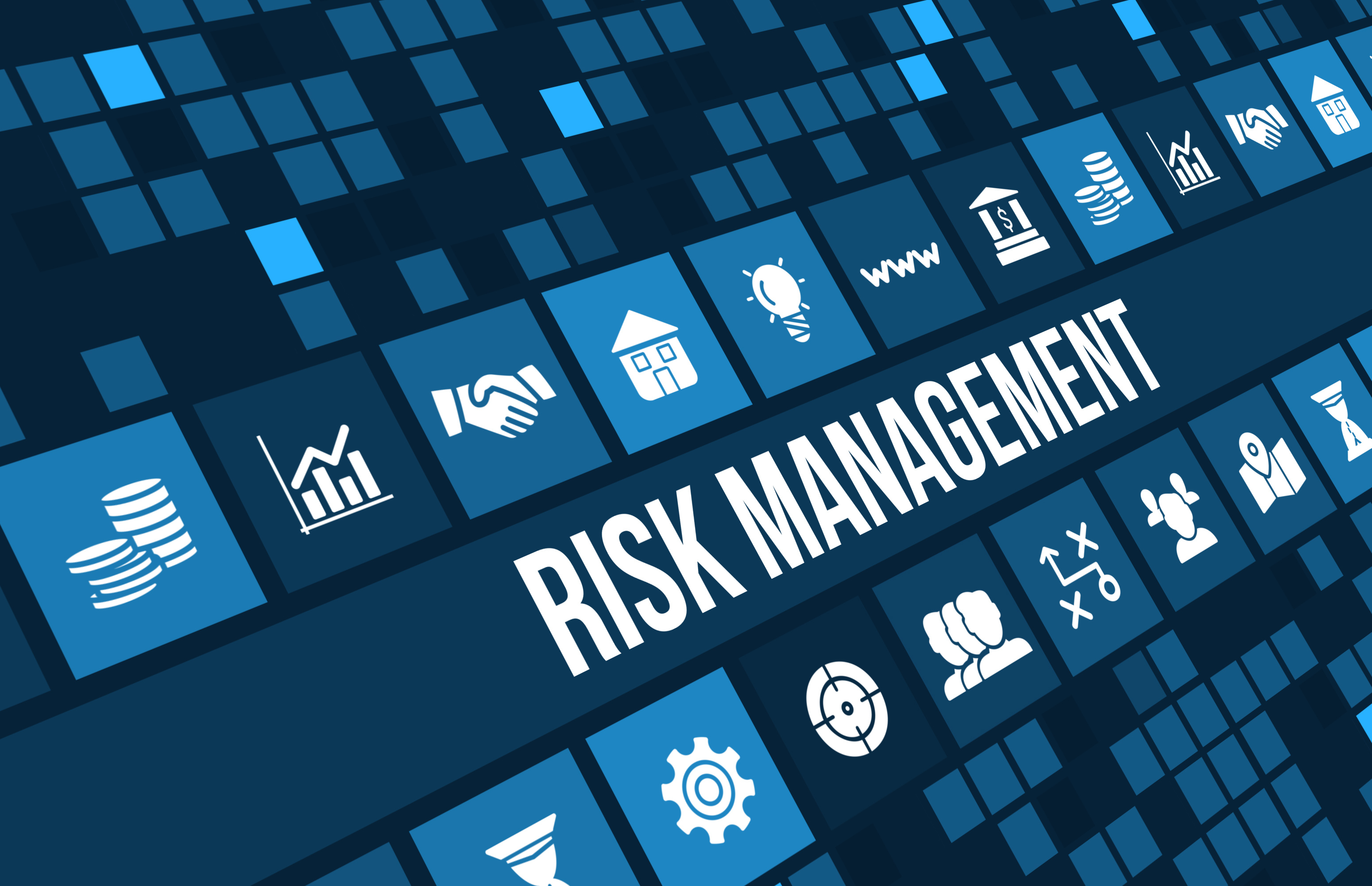 An Introduction To Risk Management Information Systems Themocracy