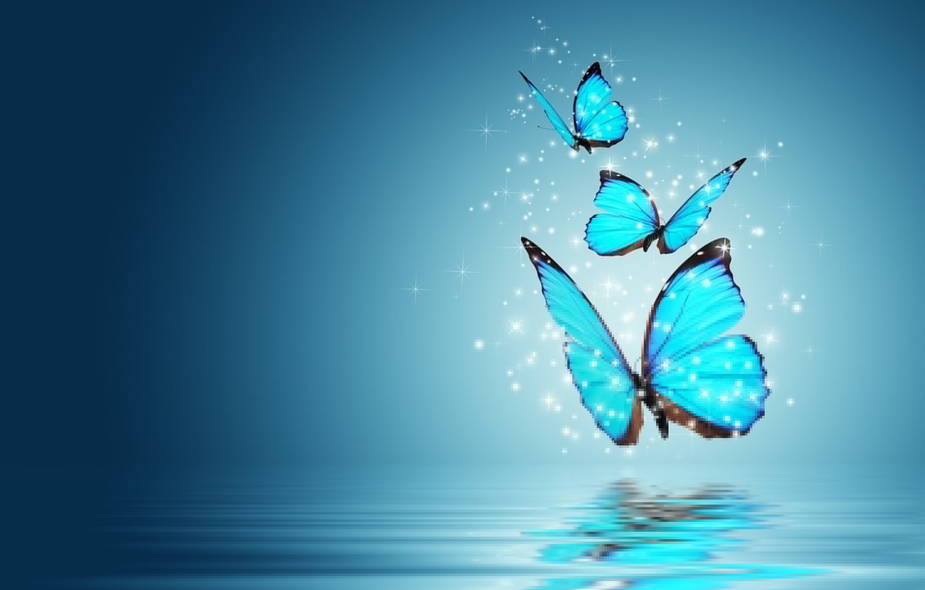 Wallpaper Butterfly Background Blue Magic